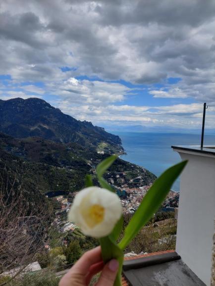 Appartement Il Sogno Di Wagner à Ravello Extérieur photo